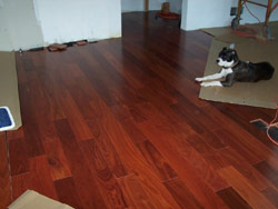 5" prefinished santos mahogany installation job site